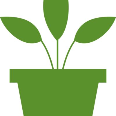 Plant 2 Thumbnail