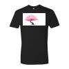 Next Level 3600 Cotton T-Shirt Thumbnail